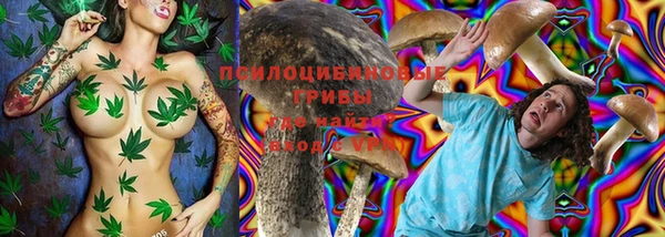 хмурый Алзамай