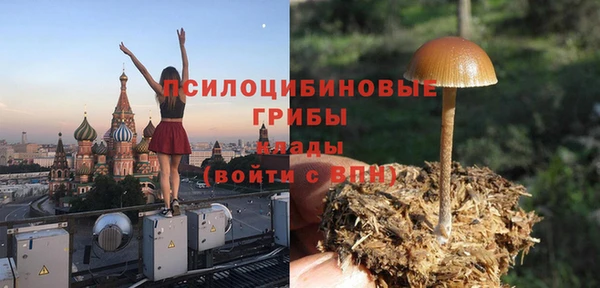 хмурый Алзамай
