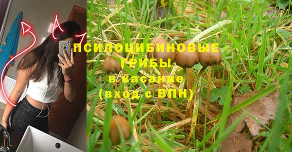 соль курить ск Алексин