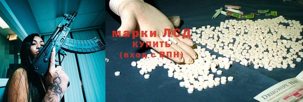 хмурый Алзамай